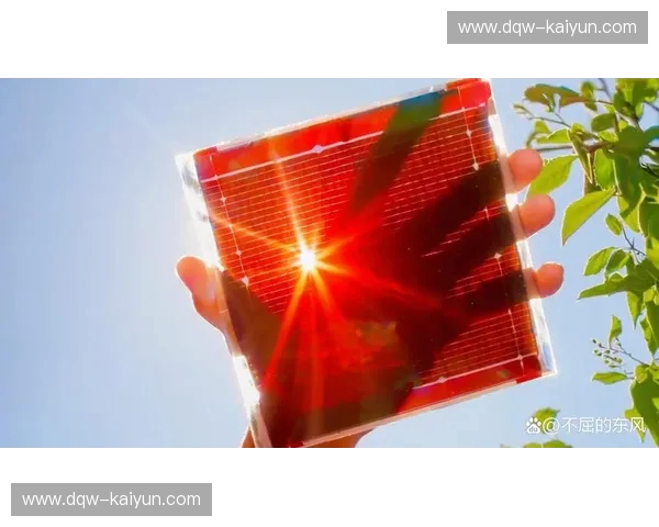 太阳阵容：开启你的光伏生活革命